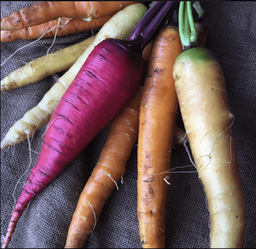 local, organic carrots